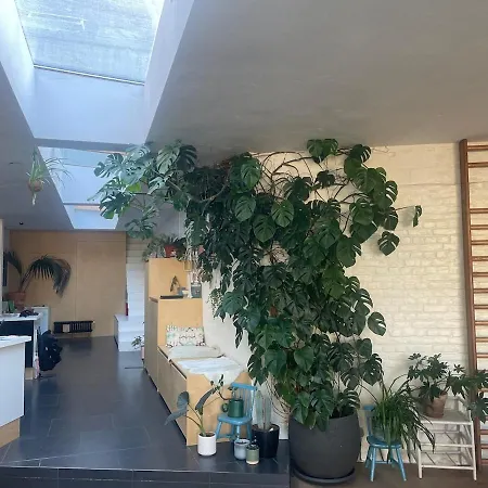 Spacious House With Big Garden Close To The City Ghent