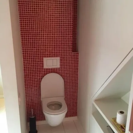 Spacious House With Big Garden Close To The * Гент
