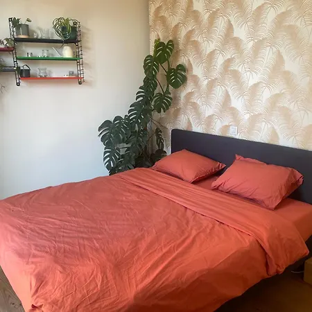 Spacious House With Big Garden Close To The City Villa *