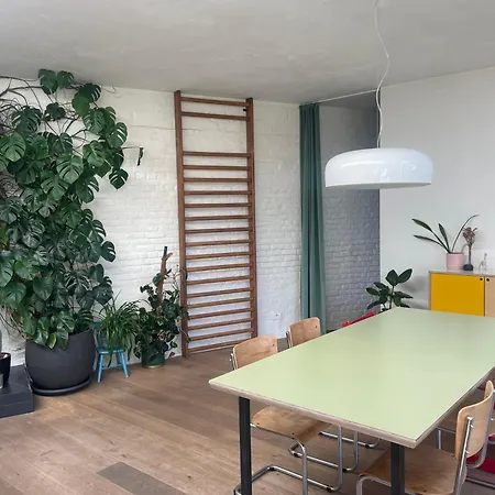 Spacious House With Big Garden Close To The *