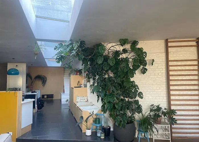 Spacious House With Big Garden Close To The Gante